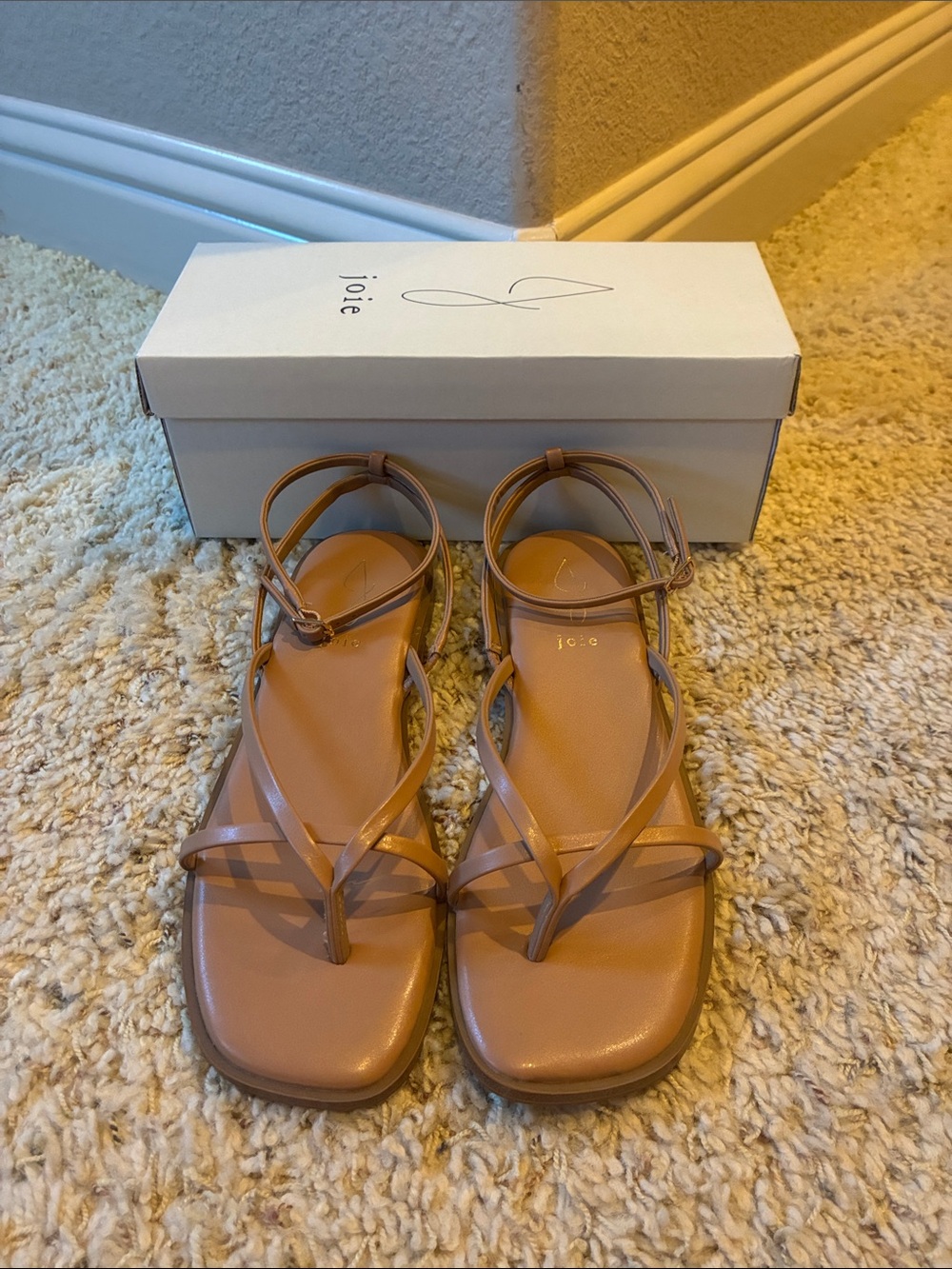 Joie Tan Strappy Leather Sandals